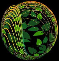 华体会登录-未来青训：生态系统构建助推足球强国梦，足球生态系统建设