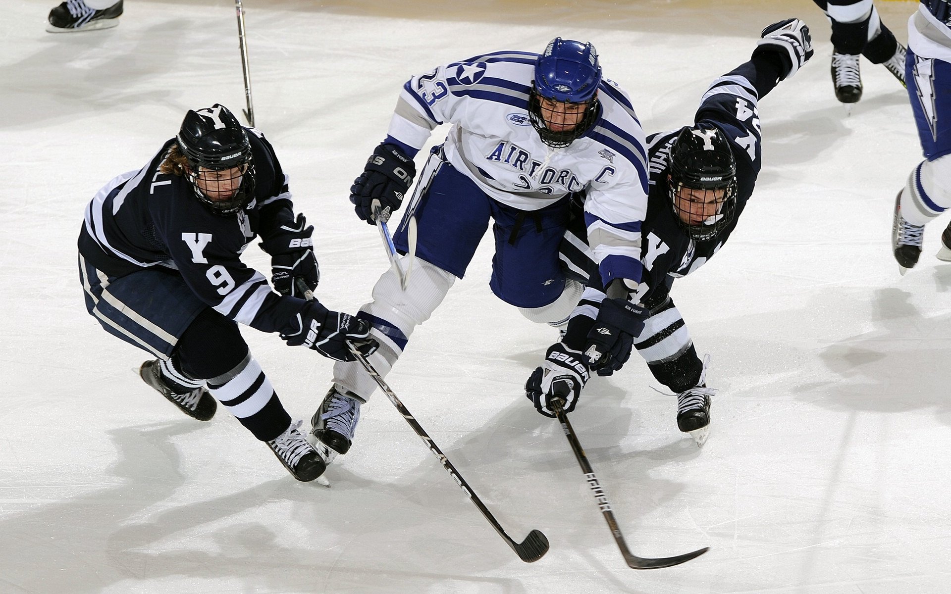 华体会娱乐平台-“2025世界运动会:高新体育中心羽毛球赛事亮点纷呈”