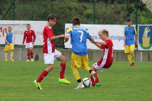 华体会app下载入口-中国足球联赛赛事安全管理制度严格执行,中国足球职业联赛专项治理工作会议