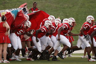 华体会app安装-体育新闻中心赛前状态追踪,体育新闻预告